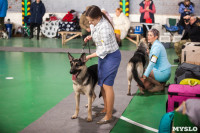 Выставка собак в Туле 24.11, Фото: 38