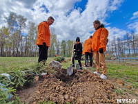 ЕВРАЗ посадил в Пролетарском парке 100 деревьев, Фото: 22