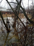 В Туле ручей вышел из берегов и затопил подвал частного дома, Фото: 11
