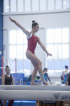 Всероссийские соревнования по спортивной гимнастике, Фото: 7