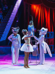 Шоу «Жар-птица», Фото: 7