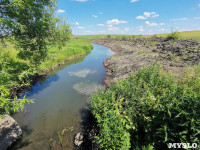 В этом году в Тульской области начали расчистку русел еще трех рек, Фото: 2