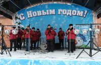 Новогоднее представление в Тульском кремле, Фото: 14