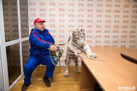 Цирк "Максимус" и тигрица в гостях у Myslo, Фото: 3