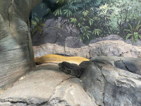 , Фото: 38
