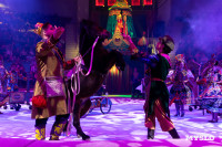 Цирковое шоу Жар птица, Фото: 87