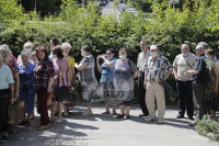 В Туле пенсионеры толпятся в огромной очереди на продление проездных, Фото: 14