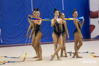 В Туле стартовало первенство Центрального федерального округа по художественной гимнастике, Фото: 60