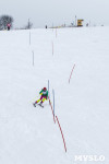 Третий этап первенства Тульской области по горнолыжному спорту., Фото: 43