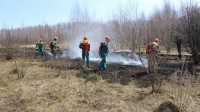 Лесной пожар: учения МЧС, Фото: 11