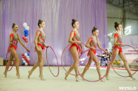 Всероссийские соревнования по художественной гимнастике на призы Посевиной, Фото: 118