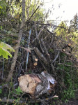 В Черни во время уборки на кладбище могилы завалили спиленными деревьями, Фото: 1