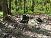 Туляки: Щегловская засека превращается в свалку мусора, Фото: 1