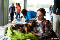 Благотворительный фестиваль помощи животным, Фото: 12