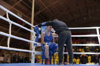 Финал турнира по боксу "Гран-при Тулы", Фото: 108