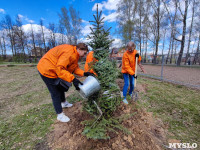 ЕВРАЗ посадил в Пролетарском парке 100 деревьев, Фото: 29