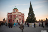 В Тульском кремле открылась новогодняя елка, Фото: 22