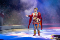 Цирковое шоу Жар птица, Фото: 97