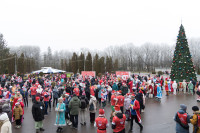 Забег Дедов Морозов в Туле, Фото: 4