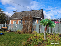 Село Панино десятки лет живет без дорог и воды, Фото: 2