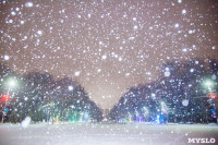 Зимняя сказка в Центральном парке, Фото: 18