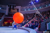 Туляков приглашают на новогоднее представление «Ёлка в цирке», Фото: 56