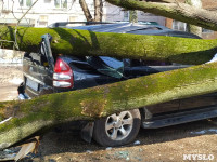 Дерево упало на машину на проспекте Ленина, Фото: 7