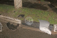 Погоня в Туле: уходя от ДПС пьяный водитель врезался в фонарный столб, Фото: 16