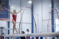 Всероссийские соревнования по спортивной гимнастике, Фото: 29