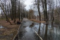 В Туле затопило Баташевский сад, Фото: 14