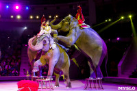 Цирк Инди Ра, Фото: 61