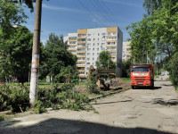 вырубка деревьев во дворе дома №33 по ул. Горького в Туле, Фото: 12