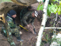 В Тульской области в лесу поисковики нашли захоронение артиллеристов и лошадей, Фото: 8