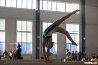 Первенство ЦФО по спортивной гимнастике среди  юниоров, Фото: 76