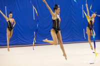 В Туле стартовало первенство Центрального федерального округа по художественной гимнастике, Фото: 67