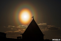 Тульский фотограф запечатлел пыльцевую корону вокруг солнца, Фото: 19