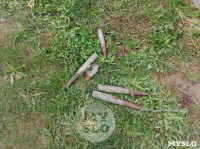 В Ленинском дети нашли 14 зенитных снарядов, Фото: 4