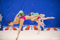 Соревнования по художественной гимнастике на призы благотворительного фонда «Земляки», Фото: 132