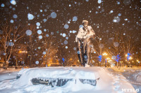Сказочная зима в Туле, Фото: 25