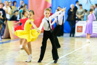 I-й Международный турнир по танцевальному спорту «Кубок губернатора ТО», Фото: 28