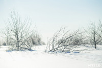 Снежное Поленово, Фото: 1