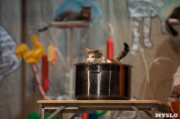 Театр кошек в ГКЗ, Фото: 59