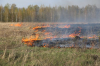 Липня. Пожар., Фото: 4