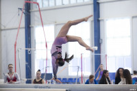 Всероссийские соревнования по спортивной гимнастике, Фото: 51