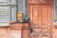 , Фото: 2