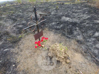 Сгоревшее кладбище в Алексине, Фото: 14