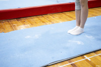 Всероссийские соревнования по спортивной гимнастике, Фото: 42