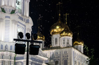Нашествие мотыльков в кремле, Фото: 3