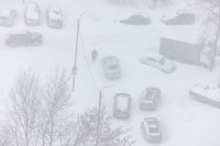 Тула в снежном плену: фоторепортаж с улиц города, Фото: 28