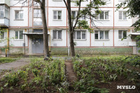 Цветник на проспекте Ленина, 147, Фото: 33